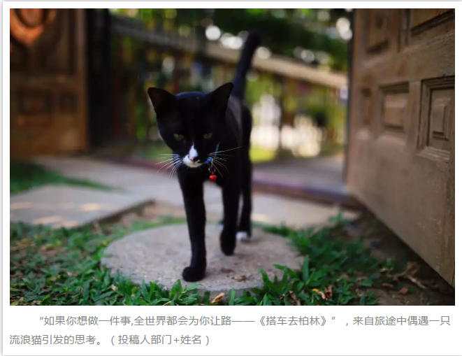 腾龙国际平台(中国区) - 官方网站